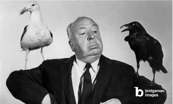 British director Alfred Hitchcock, a seagull and a raven on his shoulders, posing during the filming of "The Birds"