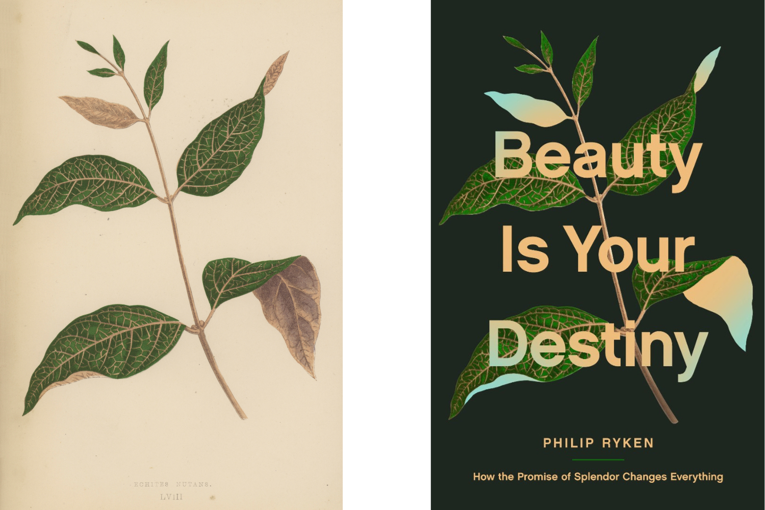 Beauty is Your Destiny, Tim Green Buchcover Design