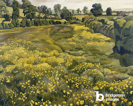 Buttercups in a meadow, (oil on canvas), Spencer, Stanley (1891-1959) / Private Collection / Photo © Christie's Images / © Estate of Stanley Spencer. All rights reserved 2022 / Bridgeman Images